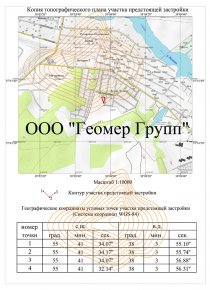 Копия топографического плана предстоящей застройки, Раменский район, д Полушкино